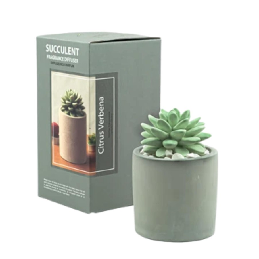 Home & Gifts Pretty Valley Pretty Valley Diffusers | Scented Ceramic Stones Succulent Diffuser Vase Set