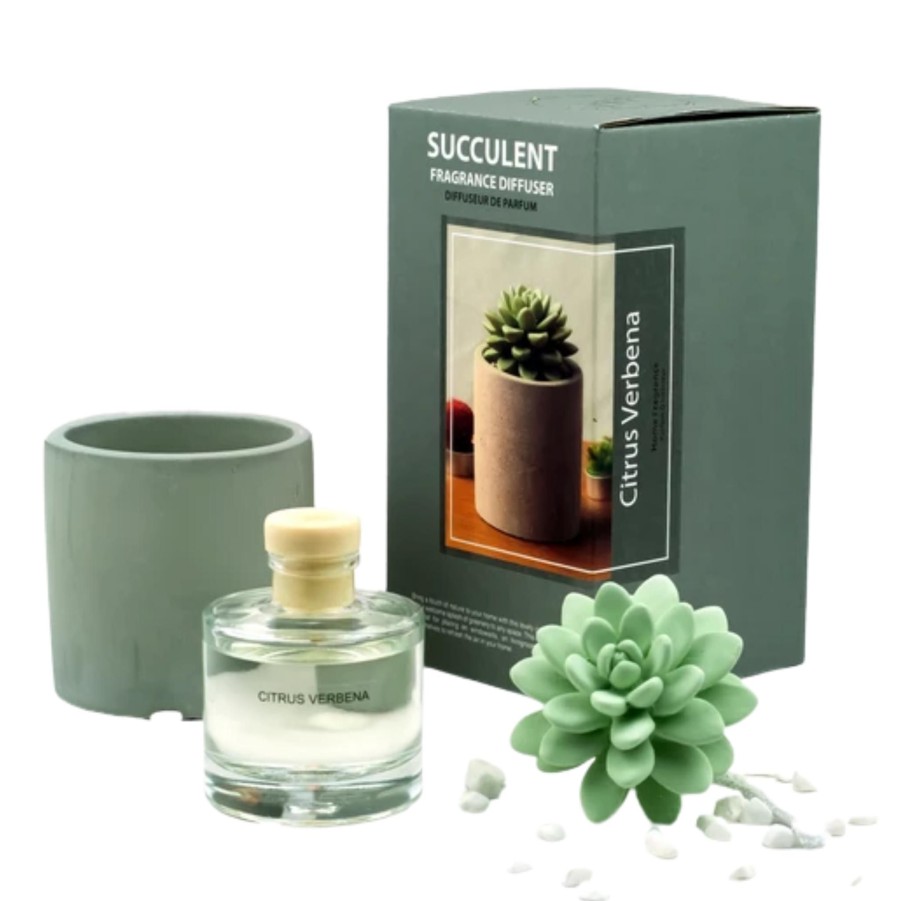 Home & Gifts Pretty Valley Pretty Valley Diffusers | Scented Ceramic Stones Succulent Diffuser Vase Set