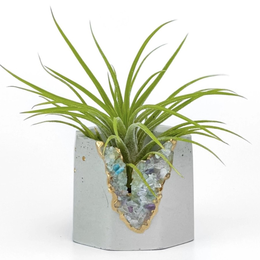 Home & Gifts AURA 8 | Crystal Geode Planter Pot With Plant Included!