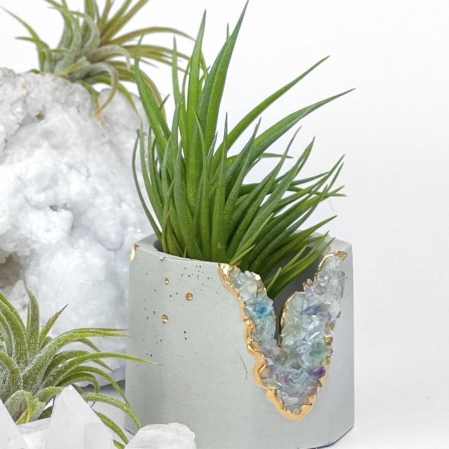 Home & Gifts AURA 8 | Crystal Geode Planter Pot With Plant Included!